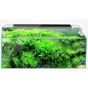 Sunsun ADS 1050C Aquarium LED Light - Petsgool Online