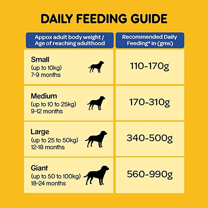Pedigree Adult Chicken & Vegetable 1.2kg - Petsgool Online