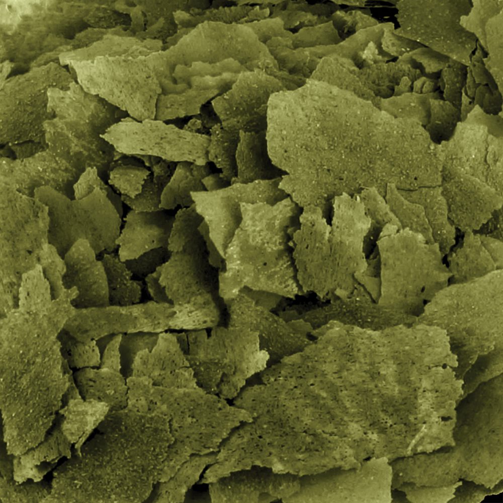 Fluval BB Spirulina Flakes 18 g