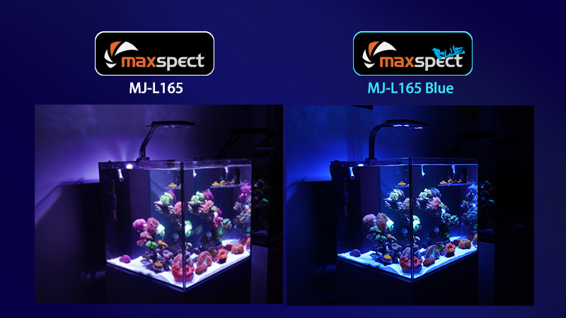 Maxspect MjL165 Blue