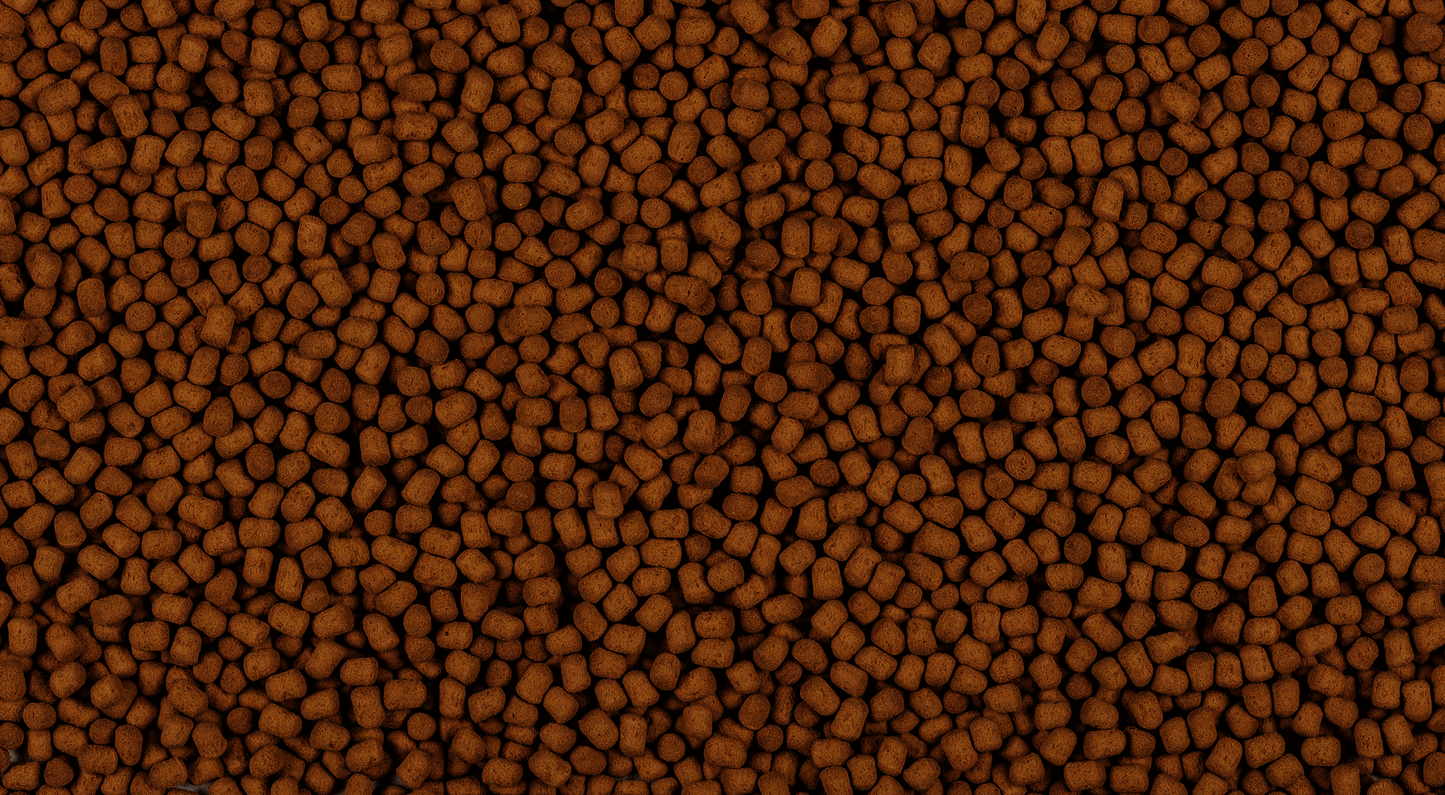 Tetra ReptoMin Energy 250ml / 85gm