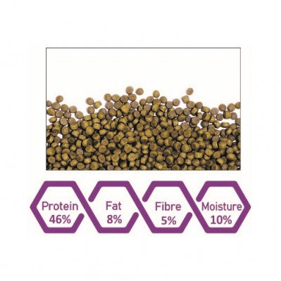 WA Flowerhorn Pro-Min pellets - 100 ml (45g)