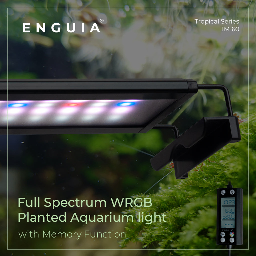 Enguia Programmable WRGB Aquarium Led Light with Memory