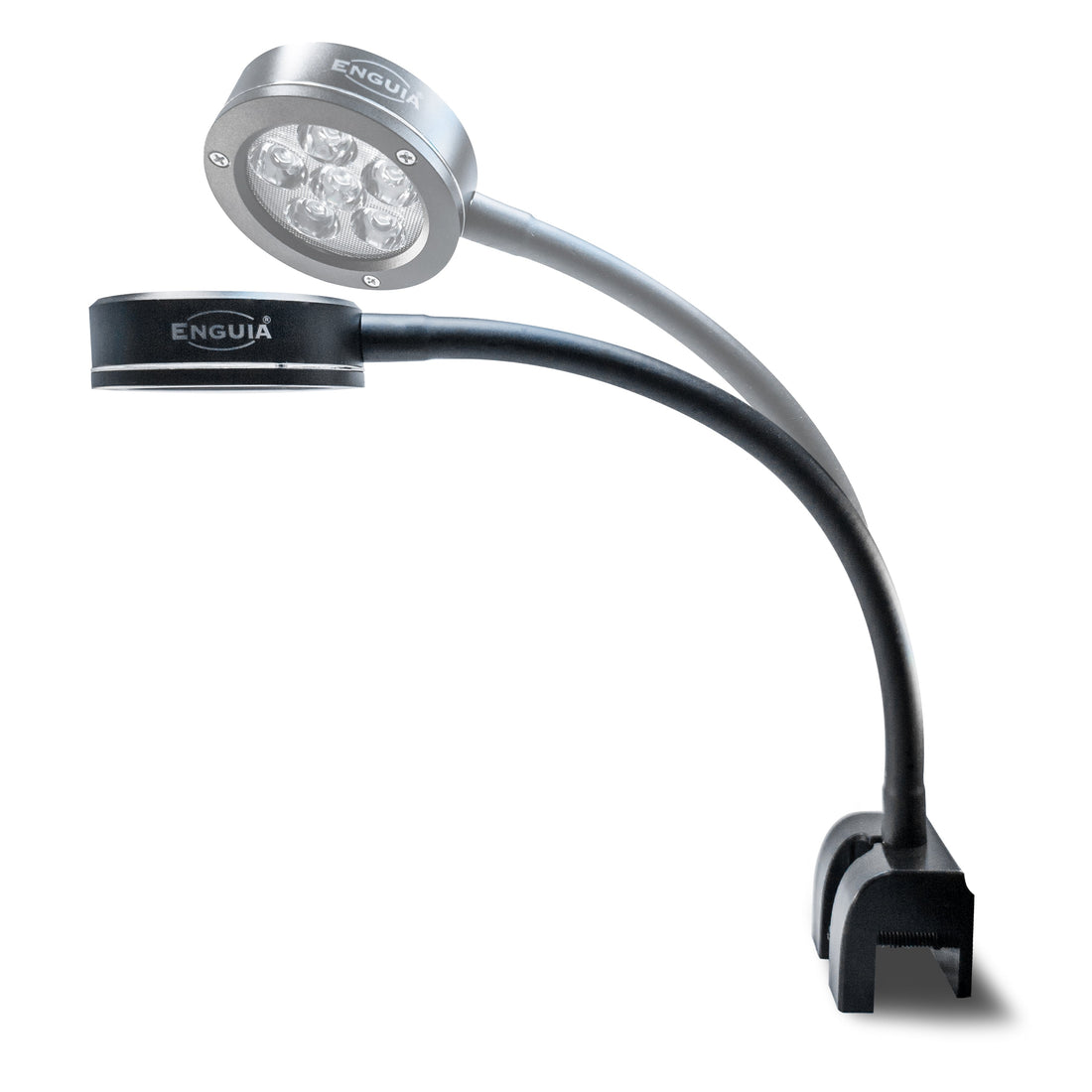 Enguia Nano Light for Marine Aquariums