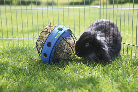 Savic Bunny Toy - Petsgool Online