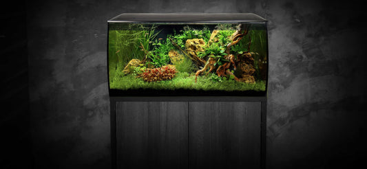 Fluval Flex Aquarium Kit, 123L, Black