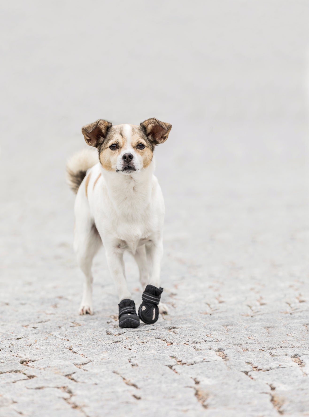 Trixie,Walker Active protective boots,2 pcs - Petsgool Online