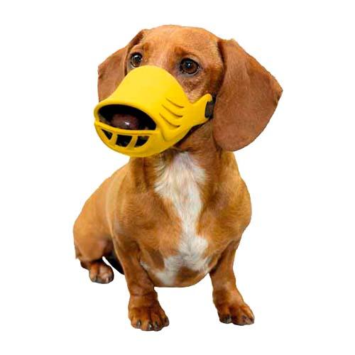 Artero Silicone Dog Muzzle - Petsgool Online