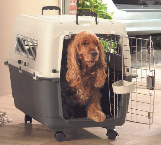 Savic Andes 5 Pet Carrier, 32 x 22 x 23 inch, Ivory - Petsgool Online