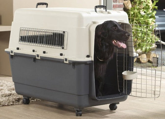 Savic Andes 6 Pet Carrier, 36 x 24 x 27 inch, Ivory - Petsgool Online