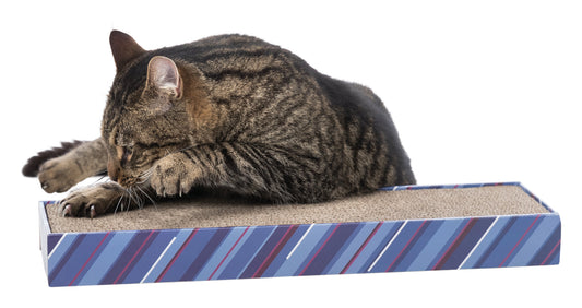 Trixie, Scratching Cardboard Lying, 48 x 13 cm - Petsgool Online