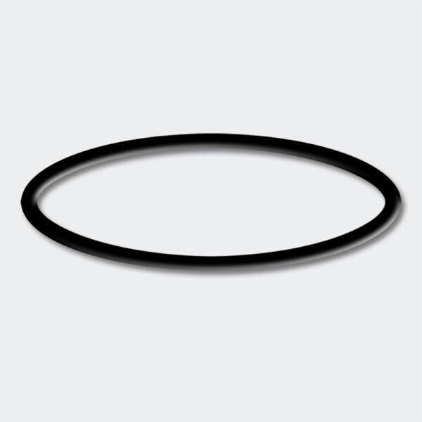 Sunsun CPF 5000 O Ring (Spare) - Petsgool Online