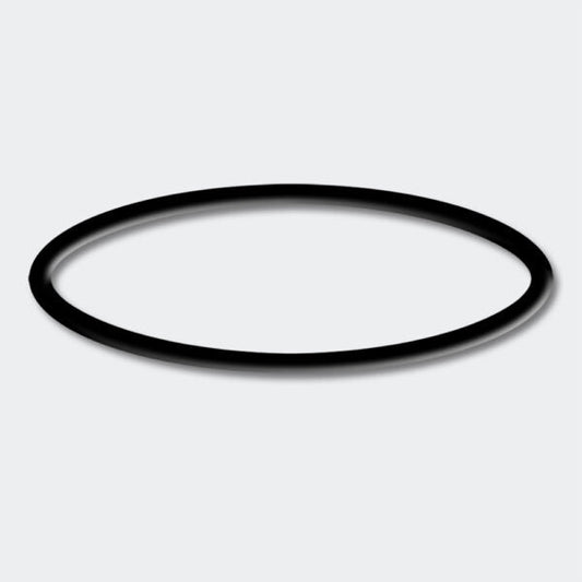 Sunsun CPF 20000 O Ring (Spare) - Petsgool Online