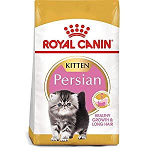 Royal Canin Persian Kitten Cat Food 4kg - Petsgool Online