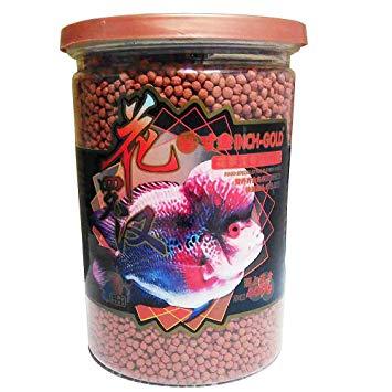 Inch-Gold Flower Horn Fish Food