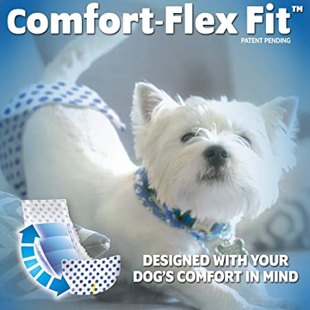OUT! Disposable Male Dog Diapers, XS-S, 12 Wraps - Petsgool Online