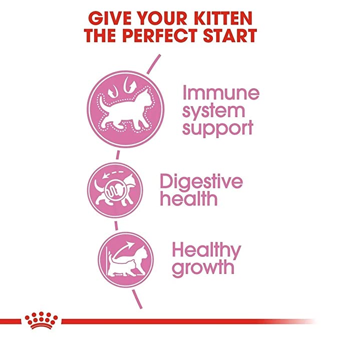 Royal Canin Second Age Kitten Cat Food 2kg - Petsgool Online