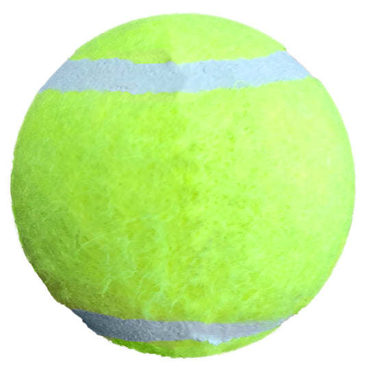 Petsport,Catnip Balls 2 PK, 4 cm - Petsgool Online