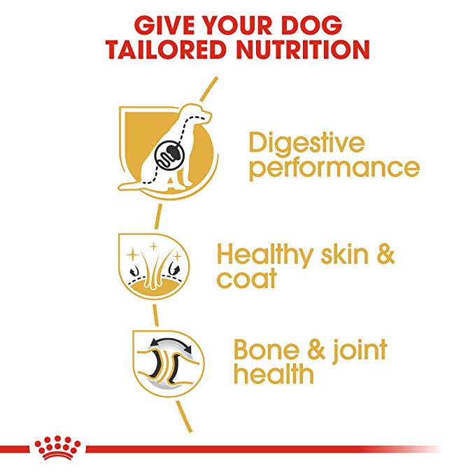 Royal Canin German Shepherd Adult Dog Food 3kg - Petsgool Online