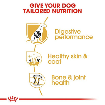 Royal Canin German Shepherd Adult Dog Food 11kg - Petsgool Online