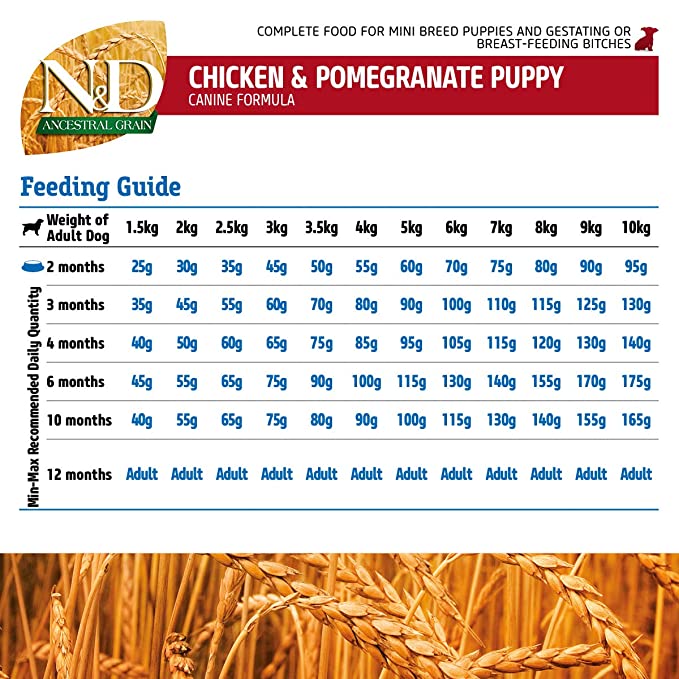 Farmina N&D Ancestral Grain Chicken and Pomegranate Puppy Mini 800g - Petsgool Online