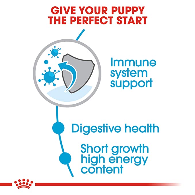 Royal Canin Medium Puppy Dog Food 4kg - Petsgool Online