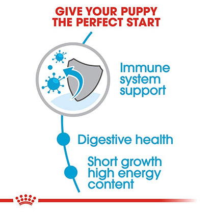 Royal Canin Medium Puppy Dog Food 1kg - Petsgool Online