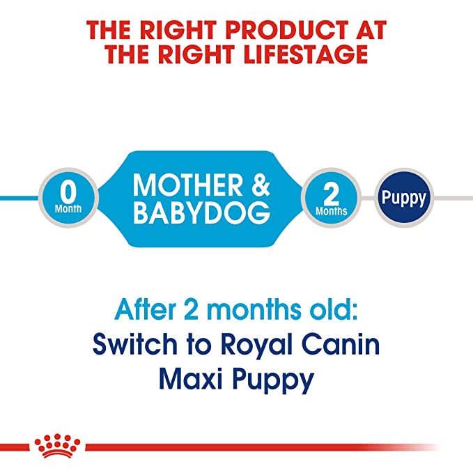 Royal Canin Starter Maxi 1kg - Petsgool Online