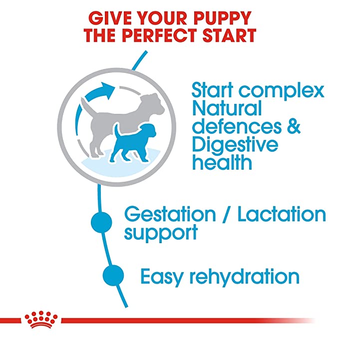 Royal Canin Starter Mini Dog Food 8.5kg - Petsgool Online