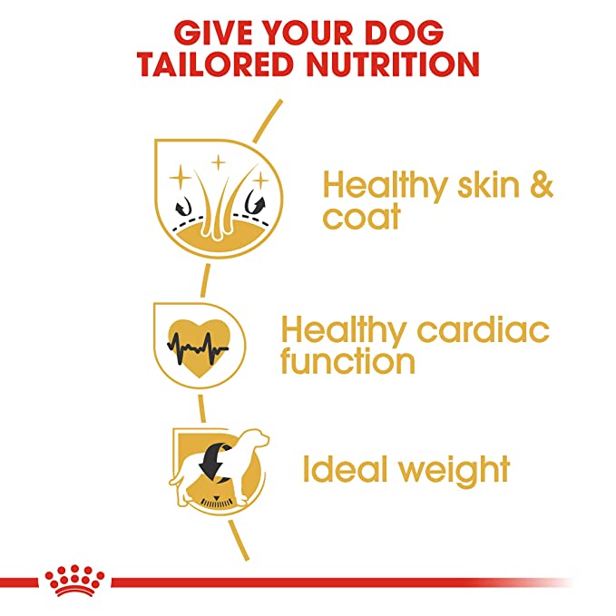 Royal Canin Golden Retriever Adult Dog Food 3kg - Petsgool Online