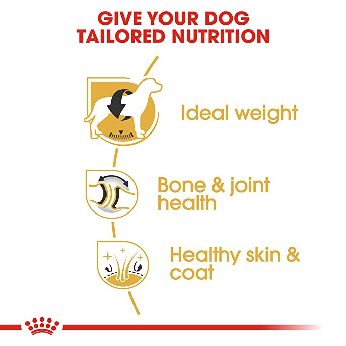 Royal Canin Labrador Adult Dog Food 3kg - Petsgool Online
