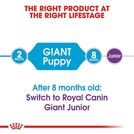 Royal Canin Puppy Giant Dog Food 1kg - Petsgool Online