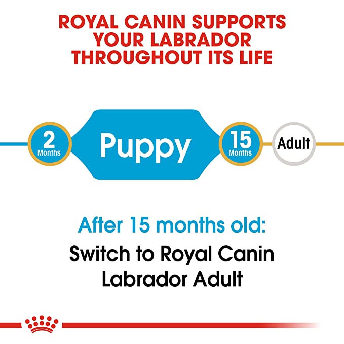 Royal Canin Labrador Retriever Puppy Dog Food 3kg - Petsgool Online