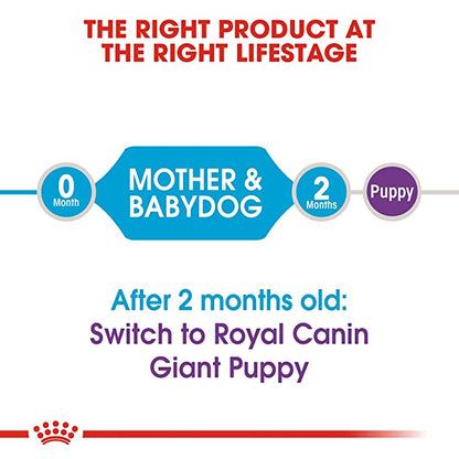 Royal Canin Giant Starter Dog Food 1kg - Petsgool Online