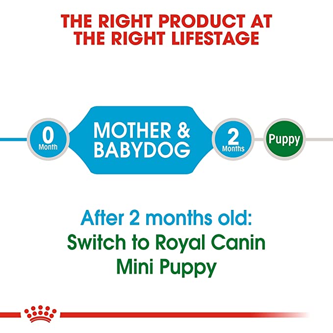 Royal Canin Starter Mini Dog Food 3kg - Petsgool Online