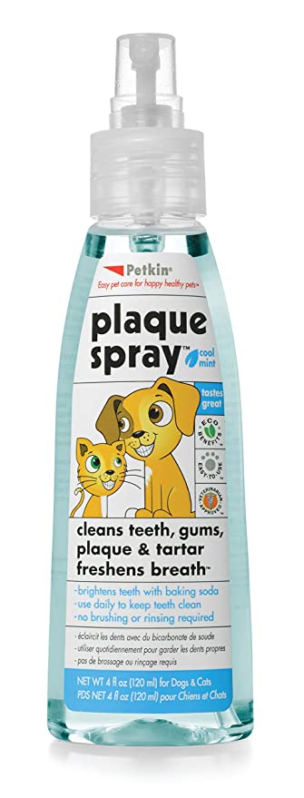 Petkin Plaque Spray Cool mint, 120 ml - Petsgool Online
