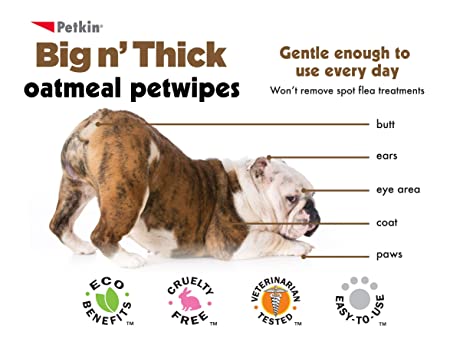 Petkin Big N' Thick Oatmeal Pet Wipes, 100 Wipes - Petsgool Online