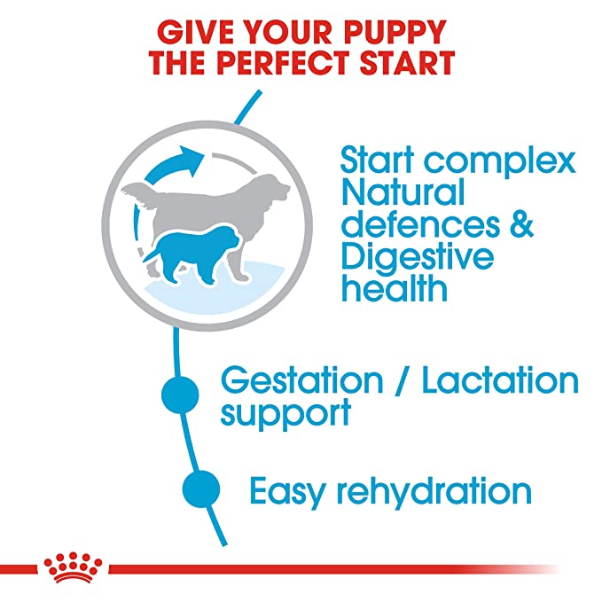 Royal Canin Giant Starter Dog Food 1kg - Petsgool Online
