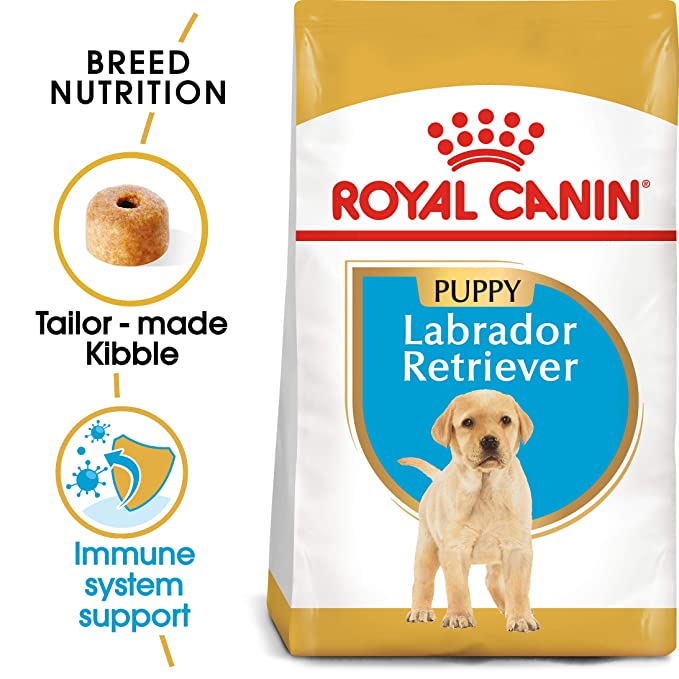 Puppy dog sales food online