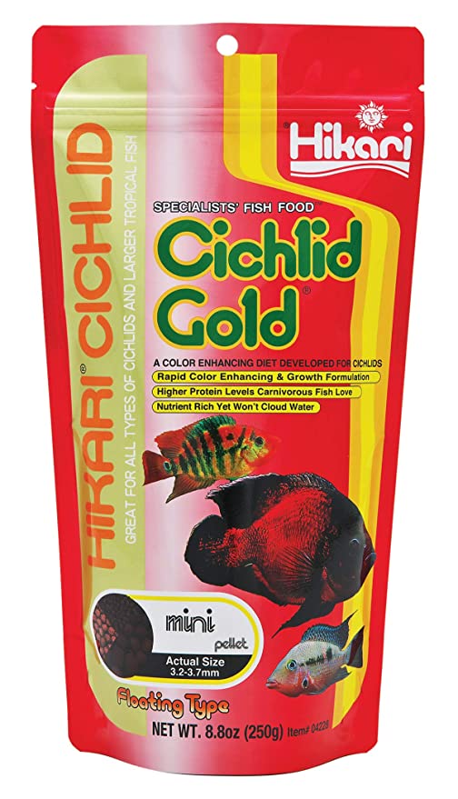 Hikari Cichlid Gold Mini 250gm - Petsgool Online