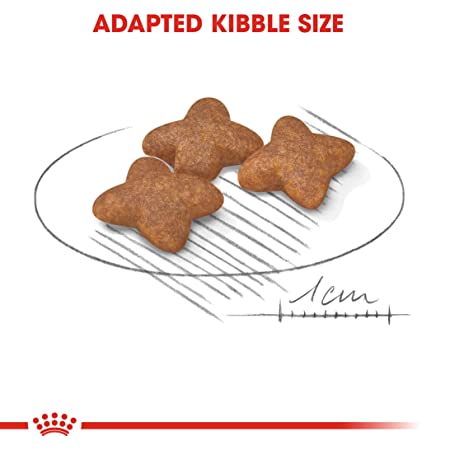 Royal Canin Mini Adult Dry Dog Food 4kg - Petsgool Online