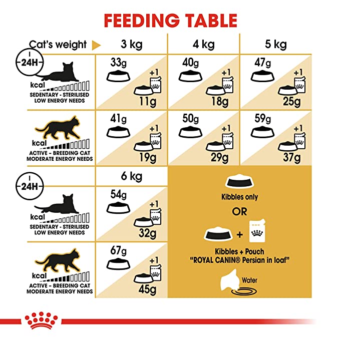 Royal Canin Persian Adult Cat Food 4kg - Petsgool Online