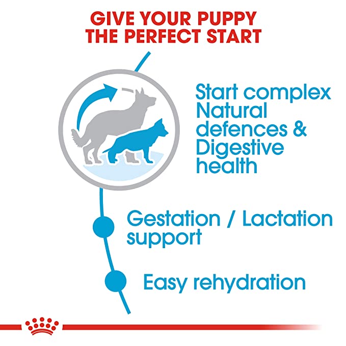 Royal Canin Starter Maxi Dog Food 15kg - Petsgool Online