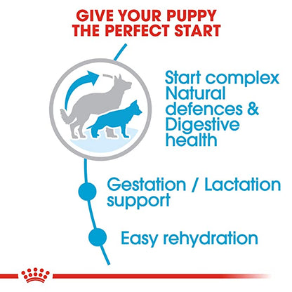 Royal Canin Maxi starter Dog Food 4kg - Petsgool Online