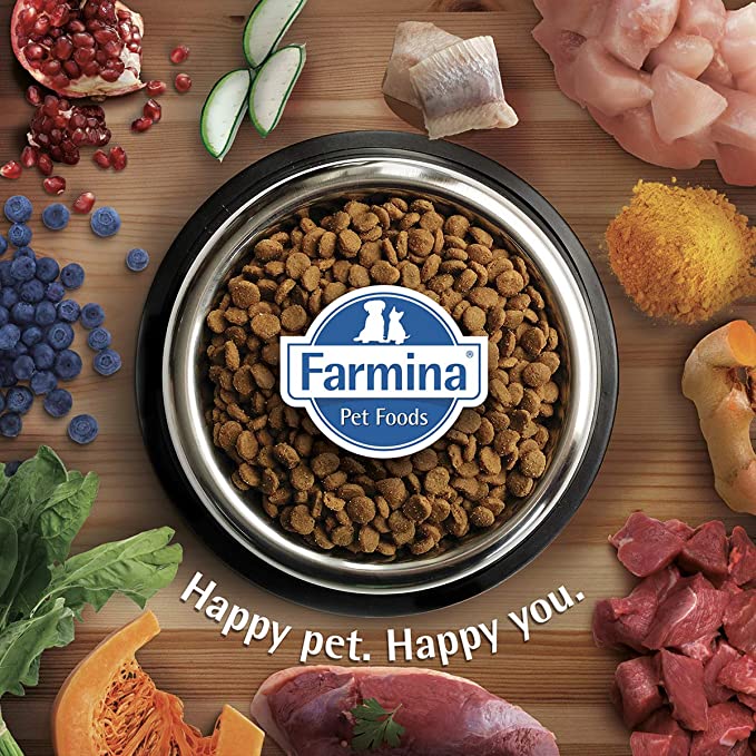 Farmina N&D Pumpkin Lamb & Blueberry Medium & Maxi Adult Dog Food 12kg - Petsgool Online