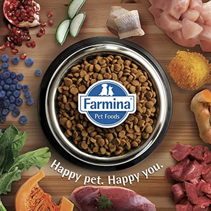 Farmina N&D Pumpkin Lamb & Blueberry Mini Puppy Food 800g - Petsgool Online