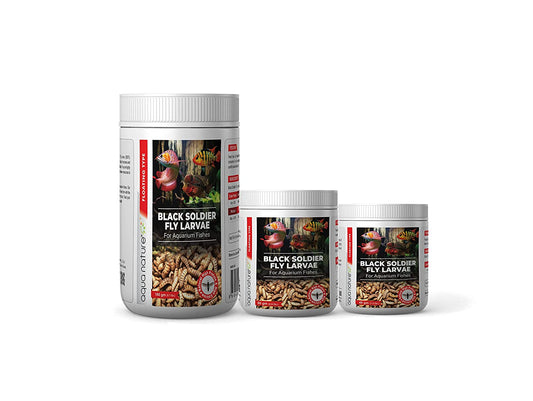 Aqua Nature Fly Larvae For Fish 80 gm