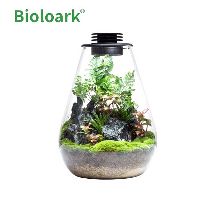 BIOLOARK Bio Bottle SD-200 Tear Drop Terrarium