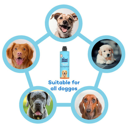 The Good Paws Tick Tick Boop | Flea & Tick Dog Shampoo | Relieves Itching & Dryness | All Natural Eucalyptus & Lemongrass Oil | Dog Shampoo For Golden Retriever, Labrador | Itch Relief Shampoo | Eucalyptus (Allergen Free) 250 ml