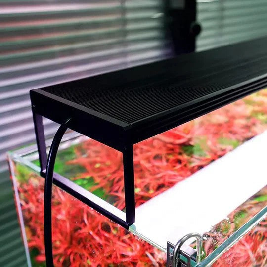 CHIHIROS Planted LED PRO System | WRGB-II-60 - Petsgool Online